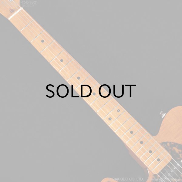 画像9: H.S.Anderson　HS-1 LH Mad Cat [左利き用モデル] (9)