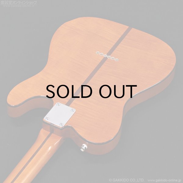 画像18: H.S.Anderson　HS-1 LH Mad Cat [左利き用モデル] (18)