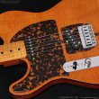 画像8: H.S.Anderson　HS-1 LH Mad Cat [左利き用モデル] (8)
