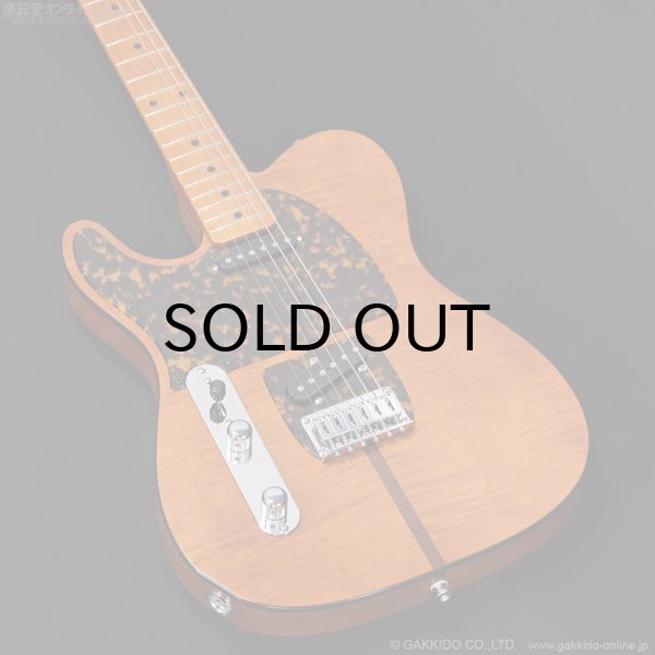 画像3: H.S.Anderson　HS-1 LH Mad Cat [左利き用モデル] (3)