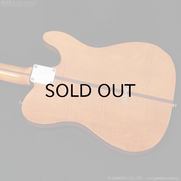 画像17: H.S.Anderson　HS-1 LH Mad Cat [左利き用モデル] (17)