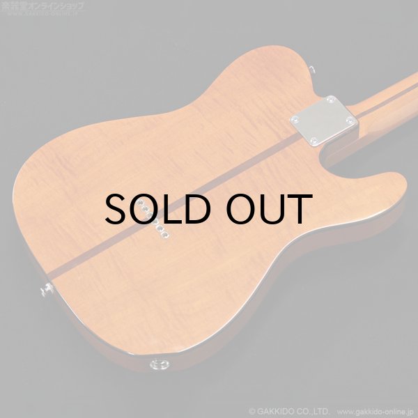 画像16: H.S.Anderson　HS-1 LH Mad Cat [左利き用モデル] (16)