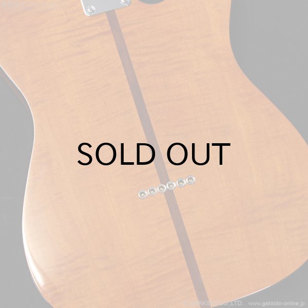 画像14: H.S.Anderson　HS-1 LH Mad Cat [左利き用モデル] (14)