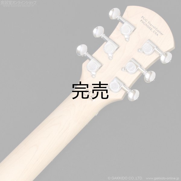 画像7: Pignose　PGG-JAIL ROCK (7)