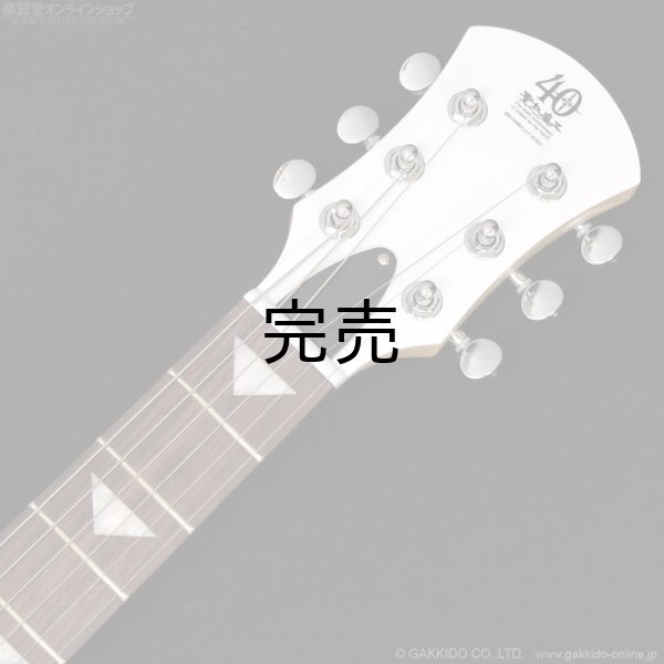 画像6: Pignose　PGG-JAIL ROCK (6)