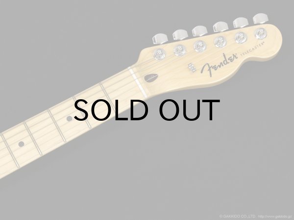 画像5: Fender　Standard Telecaster [Butterscotch Blonde] (5)