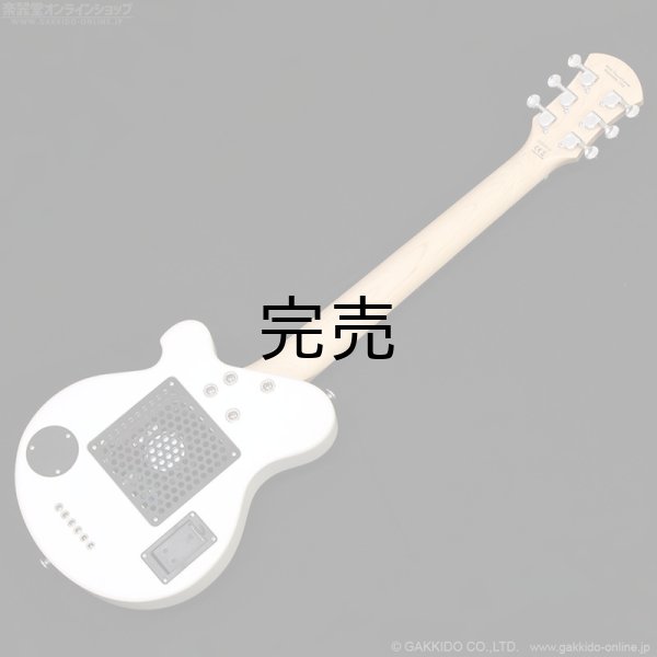 画像11: Pignose　PGG-JAIL ROCK (11)