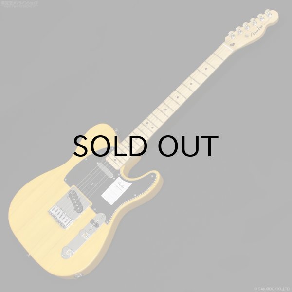 画像1: Fender　Standard Telecaster [Butterscotch Blonde] (1)