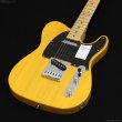 画像2: Fender　Standard Telecaster [Butterscotch Blonde] (2)