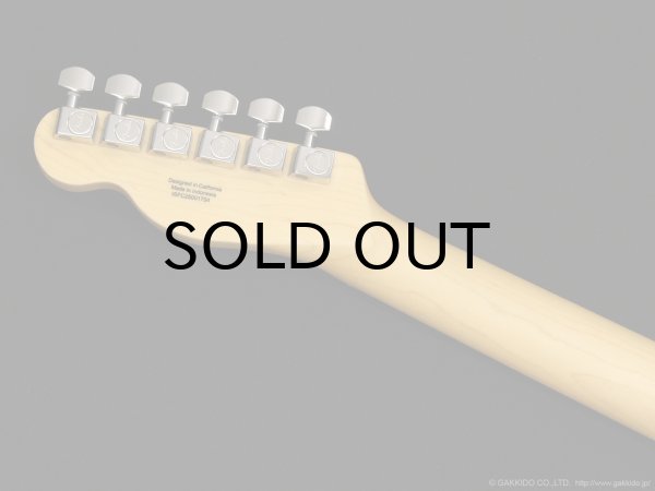 画像6: Fender　Standard Telecaster [Butterscotch Blonde] (6)