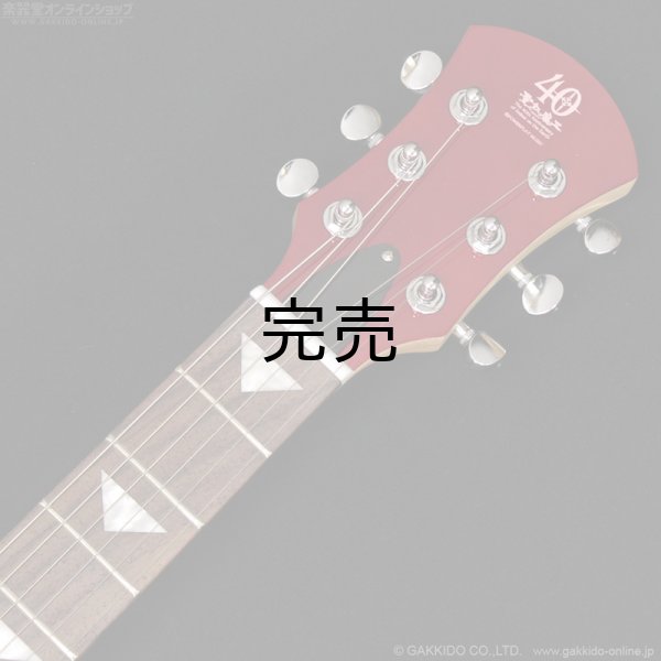 画像6: Pignose　PGG-JAIL ROLL (6)