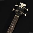 画像5: Epiphone　Newport Bass [Cherry] (5)