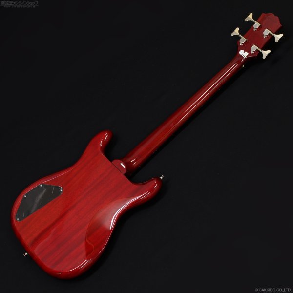 画像7: Epiphone　Newport Bass [Cherry] (7)