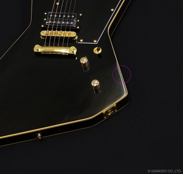 画像10: GrassRoots　G-EP 猪狩秀平 シグネチャーモデル 【チョイキズ特価品】 (10)