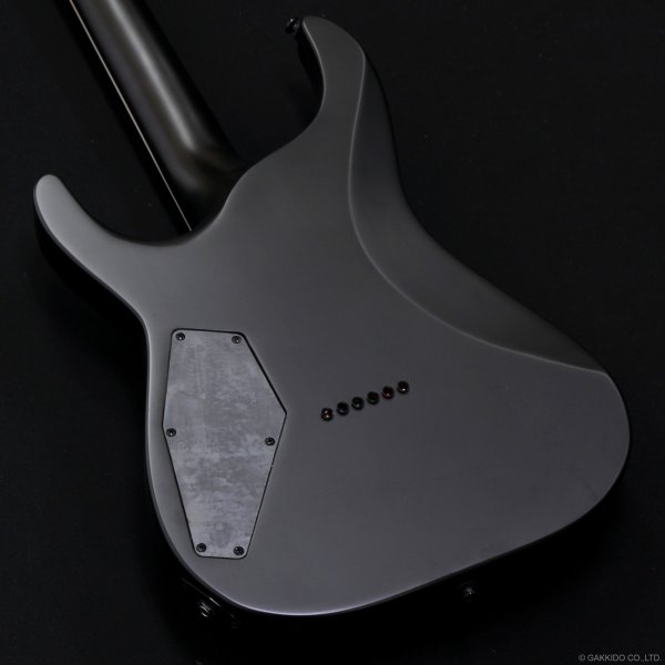 画像8: GrassRoots　G-HORIZON-FX [Black Satin] (8)