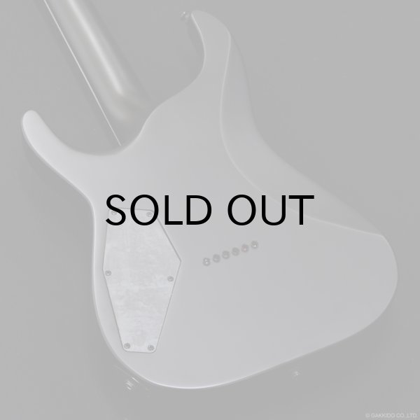 画像8: GrassRoots　G-HORIZON-FX [Black Satin] (8)