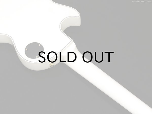 画像8: Edwards　E-LP-CTM “All Mahogany” WH [White] [当店オリジナルモデル] (8)