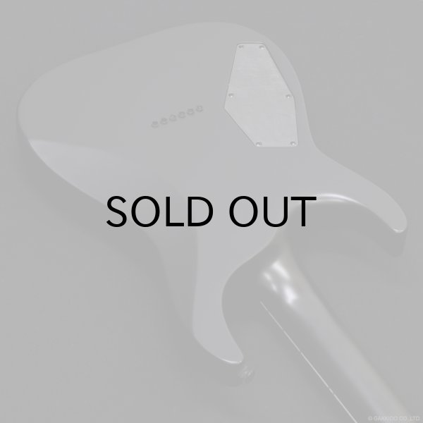 画像9: GrassRoots　G-HORIZON-FX [Black Satin] (9)