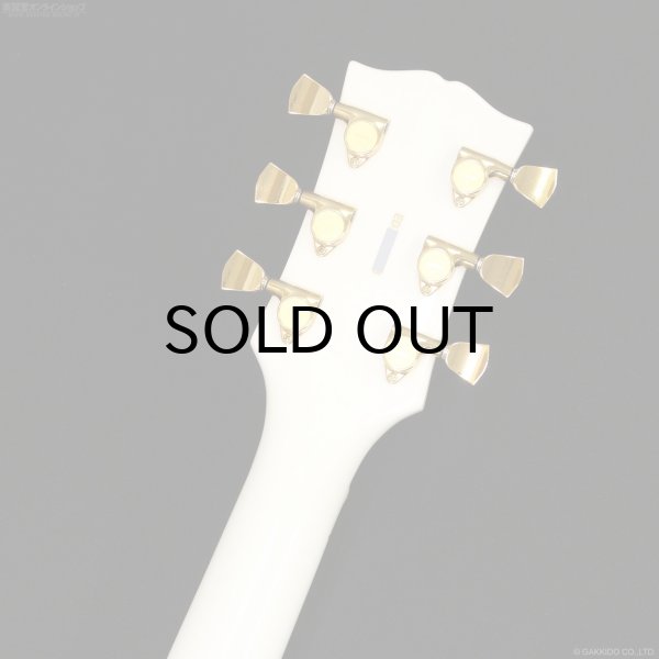 画像9: Edwards　E-LP-CTM “All Mahogany” WH [White] [当店オリジナルモデル] (9)