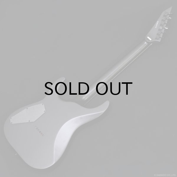 画像10: GrassRoots　G-HORIZON-FX [Black Satin] (10)