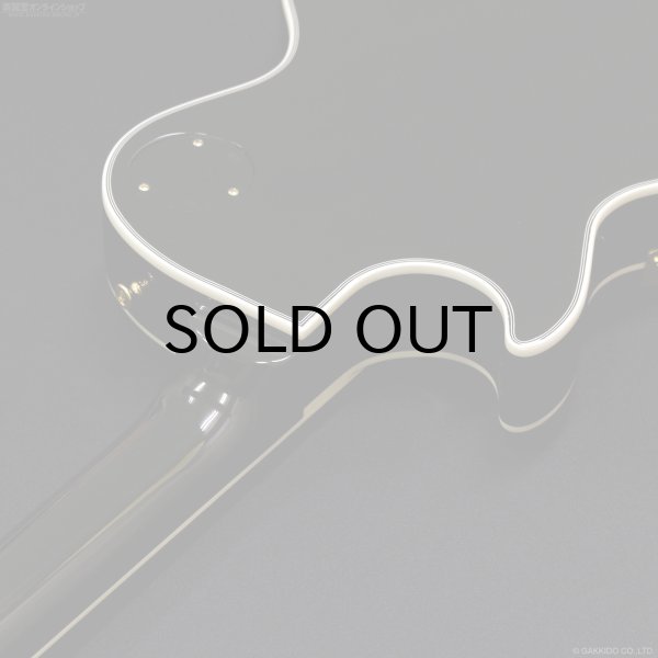 画像7: Edwards　E-LP-CTM “All Mahogany” BK [Black] [当店オリジナルモデル] (7)