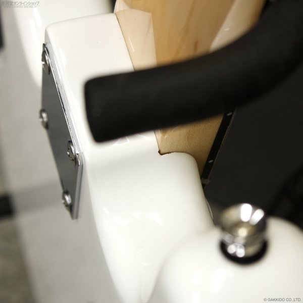 画像8: GrassRoots　G-PB/R [Snow White] (8)