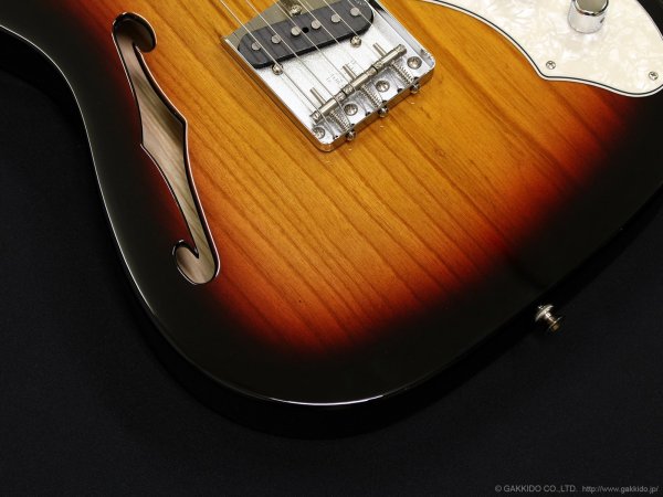 画像9: Fender　Vintera II '60s Telecaster Thinline (9)