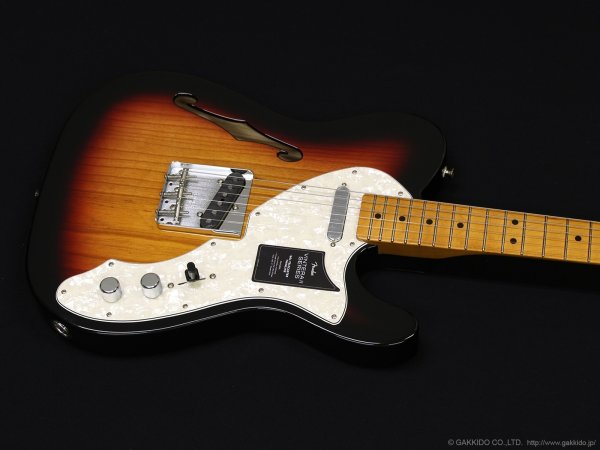 画像3: Fender　Vintera II '60s Telecaster Thinline (3)