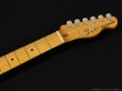画像5: Fender　Vintera II '60s Telecaster Thinline (5)