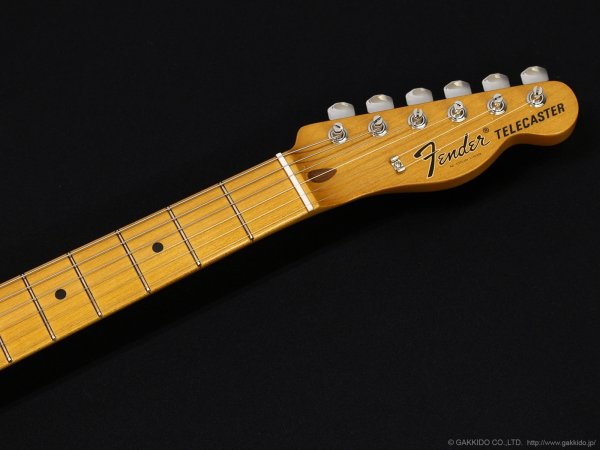 画像5: Fender　Vintera II '60s Telecaster Thinline (5)