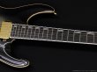 画像4: Edwards　E-HORIZON-CTM 50TH [Ash Black Burst C] (4)