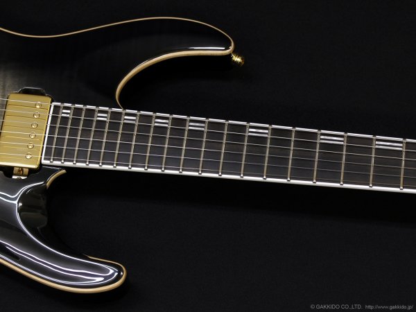 画像4: Edwards　E-HORIZON-CTM 50TH [Ash Black Burst C] (4)
