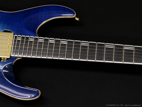 画像5: Edwards　E-HORIZON-CTM 50TH [Black Aqua Burst C] (5)