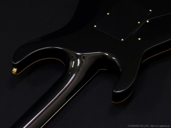 画像10: Edwards　E-HORIZON-CTM 50TH [Ash Black Burst C] (10)