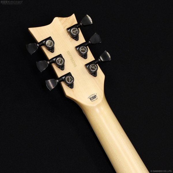 画像6: Edwards　E-VIPER-1H SNAT [Satin Natural] (6)