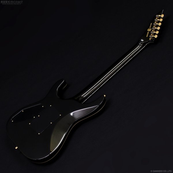 画像11: Edwards　E-HORIZON-CTM 50TH [Ash Black Burst C] (11)