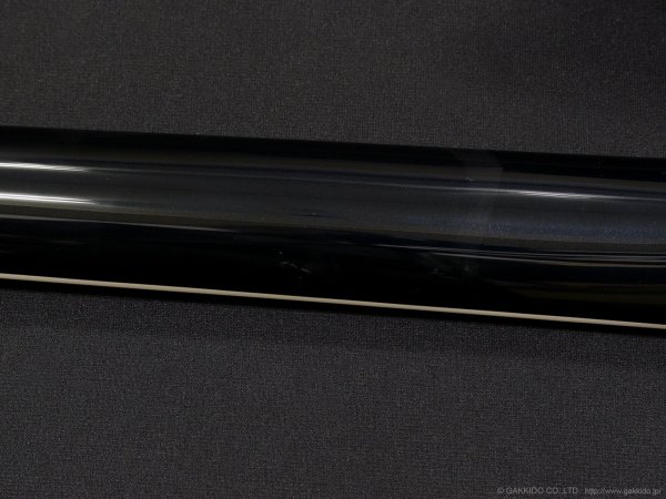 画像8: Edwards　E-HORIZON-CTM 50TH [Black Aqua Burst C] (8)