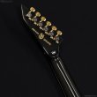 画像9: Edwards　E-HORIZON-CTM 50TH [Ash Black Burst C] (9)