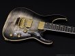 画像3: Edwards　E-HORIZON-CTM 50TH [Ash Black Burst C] (3)