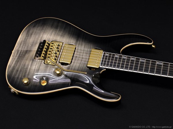 画像3: Edwards　E-HORIZON-CTM 50TH [Ash Black Burst C] (3)
