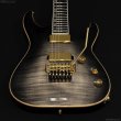 画像7: Edwards　E-HORIZON-CTM 50TH [Ash Black Burst C] (7)