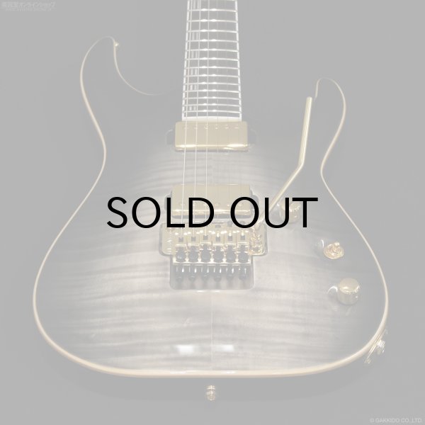 画像7: Edwards　E-HORIZON-CTM 50TH [Ash Black Burst C] (7)