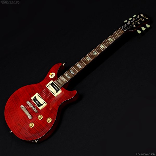 画像1: Epiphone　Limited Edition 2011 Tak Matsumoto DC Standard [Plus Top Cherry Red] [中古品] (1)