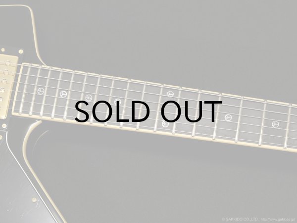 画像6: Edwards　E-EP 猪狩秀平 シグネチャーモデル (6)