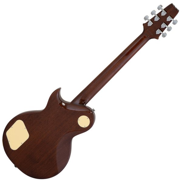 画像2: Aria Pro II　PE-JAIL 2025 ジェイル大橋 シグネチャーモデル (2)