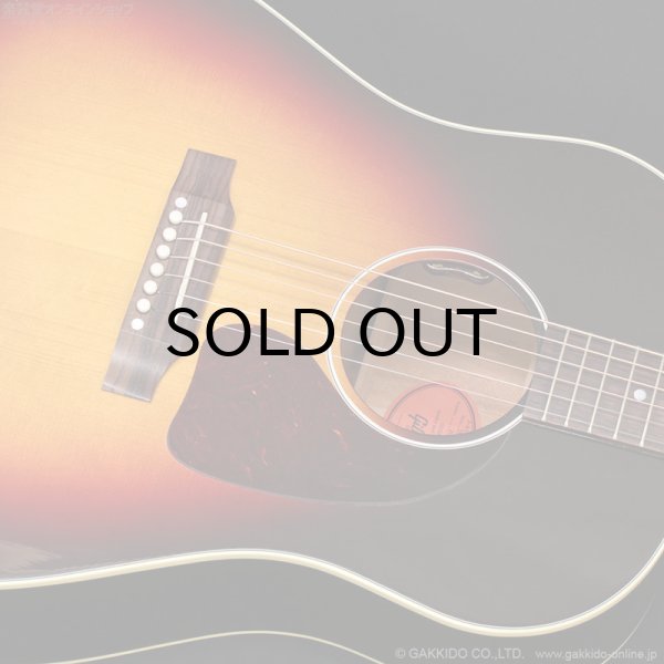 画像6: Gibson　J-45 Standard Red Spruce [Triburst] (6)