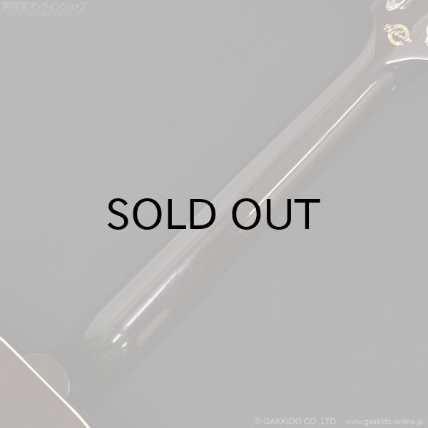 画像9: Gibson　J-45 Standard Red Spruce [Triburst] (9)