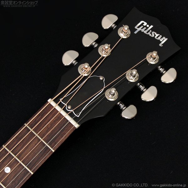 画像10: Gibson　J-45 Standard Red Spruce [Triburst] (10)