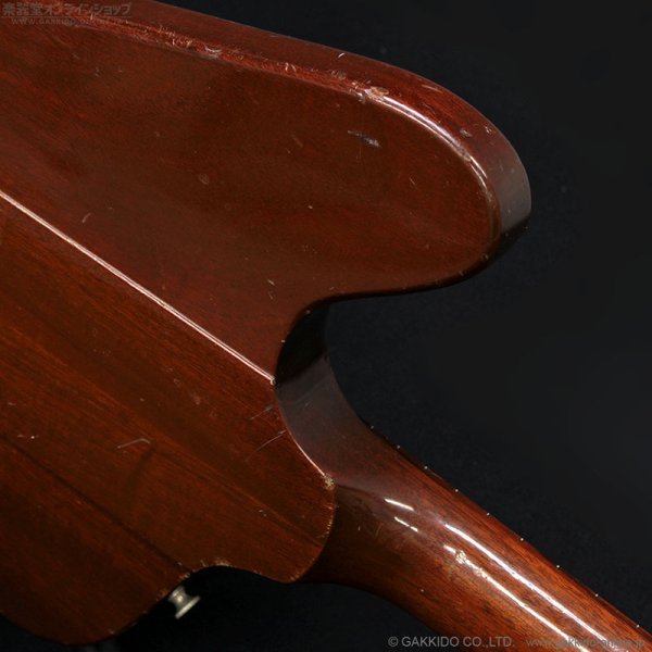 画像21: Gibson　1976 Firebird Bicentennial Edition 1976 [ヴィンテージ品] (21)