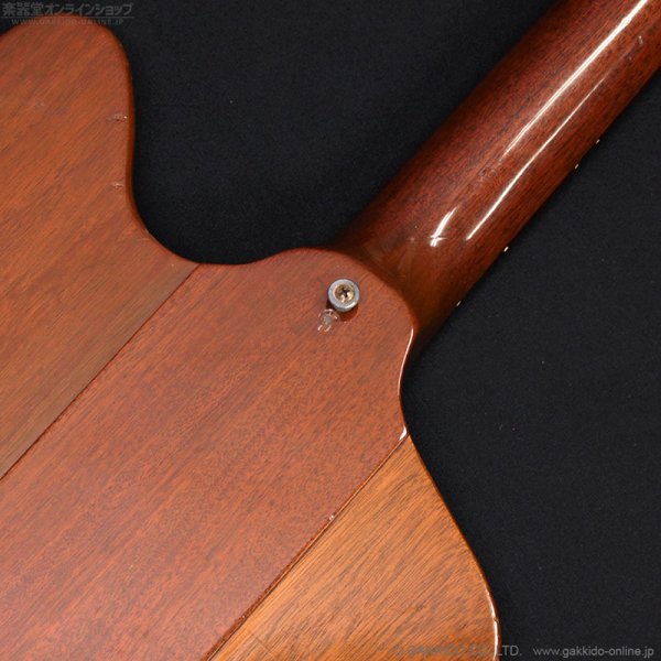 画像19: Gibson　1977 Firebird Bicentennial Edition 1976 [ヴィンテージ品] (19)